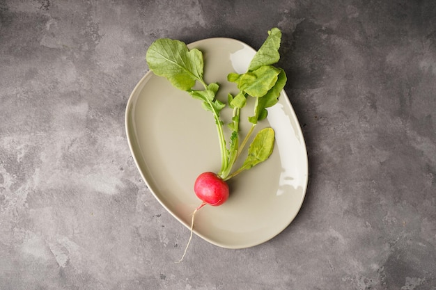 Un ravanello rosso fresco in un piatto su sfondo grigio vista dall'alto Posa piatta