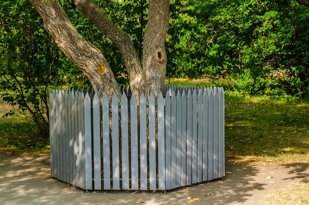 Un recinto da cui spunta un albero