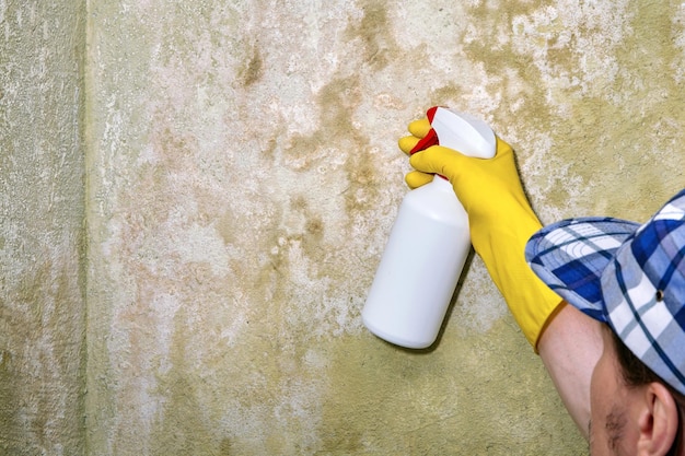 Un riparatore con una pistola a spruzzo tratta una parete con una soluzione disinfettante da funghi e muffe