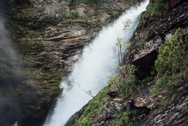 Un ruscello che scorre tra le rocce