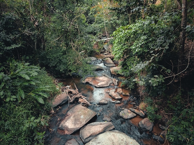 Un ruscello con rocce in una foresta tropicale, dall'alto