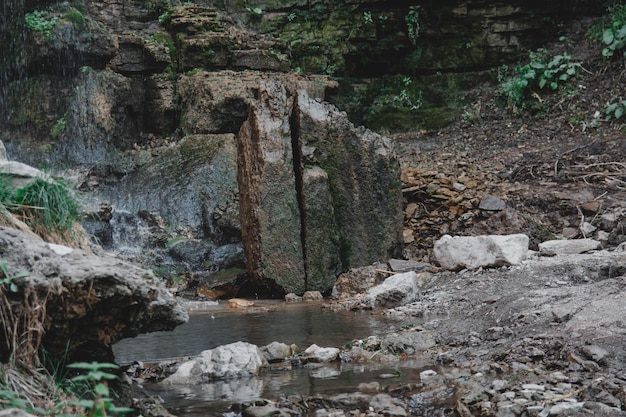 Un ruscello con una roccia in primo piano e una piccola cascata sullo sfondo.