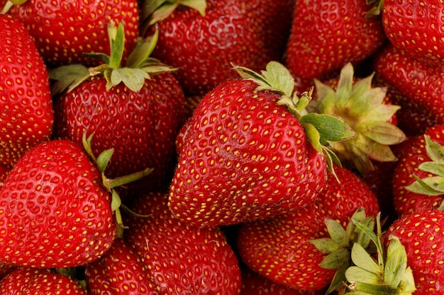 Un sacco di bacche rosse fragole close-up.