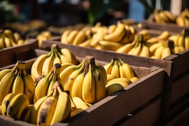 Un sacco di banane in cassette di legno Primo piano Ai Generative