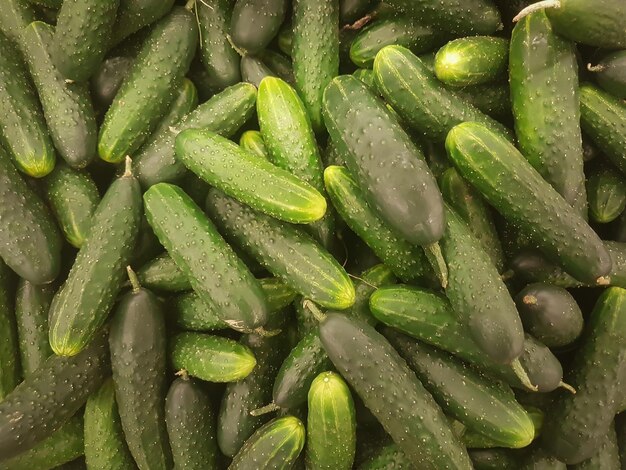 Un sacco di cetrioli freschi sul bancone del supermercato