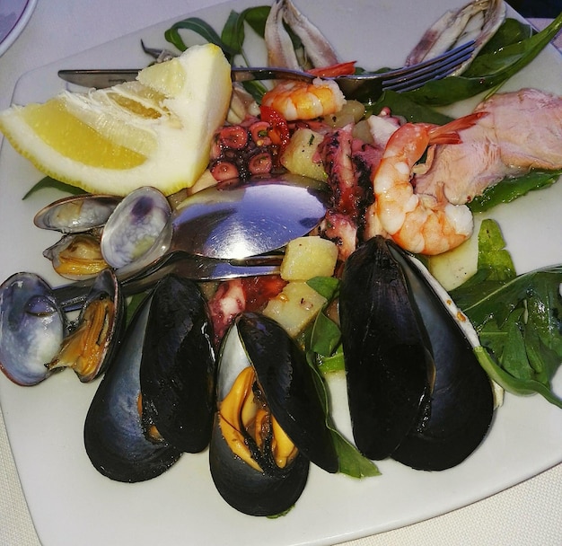 Un sacco di frutti di mare freschi .