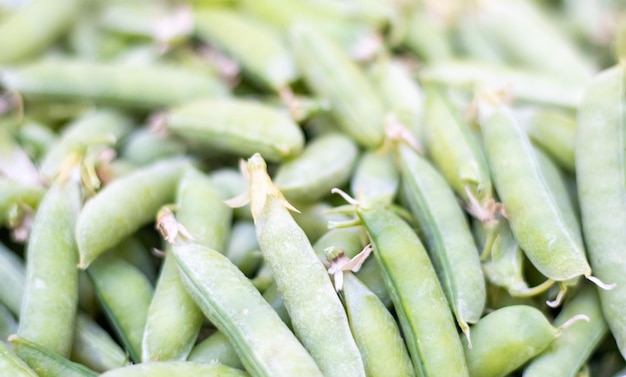 Un sacco di piselli Primo piano di piselli giovani non sbucciati Sfondo verde Cibo ecologico sano Vegetariano