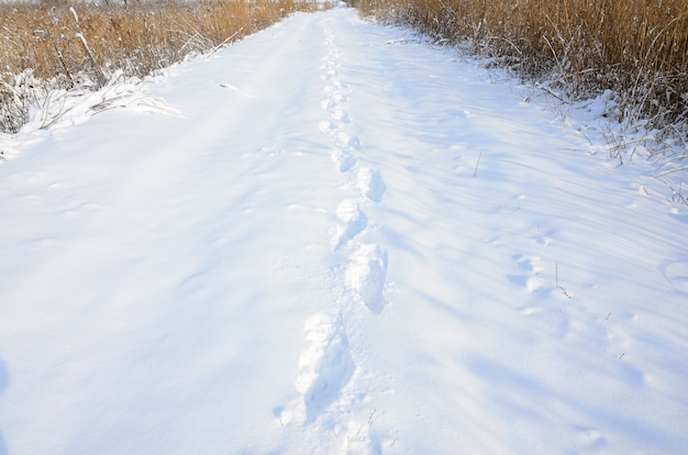 Un sacco di tracce umane lasciano in lontananza sulla strada coperta di neve