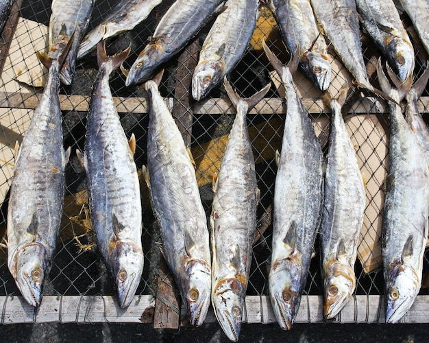 Un secco sotto il sole pesce gourmet salato