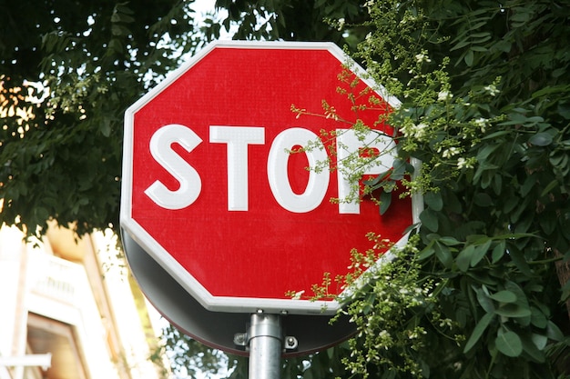 Un segnale di stop è davanti ad alcuni alberi su una strada