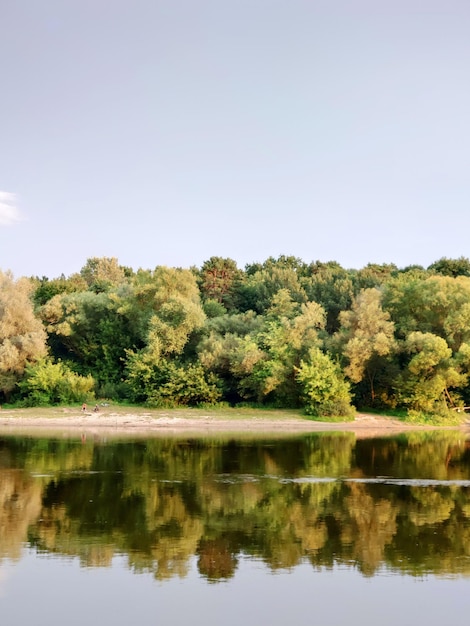 un segno d'acqua che dice " il nome del fiume "