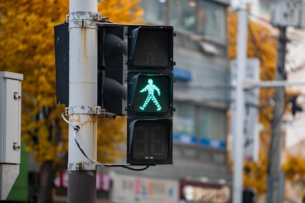 Un semaforo con semaforo pedonale verde acceso. Corea del Sud