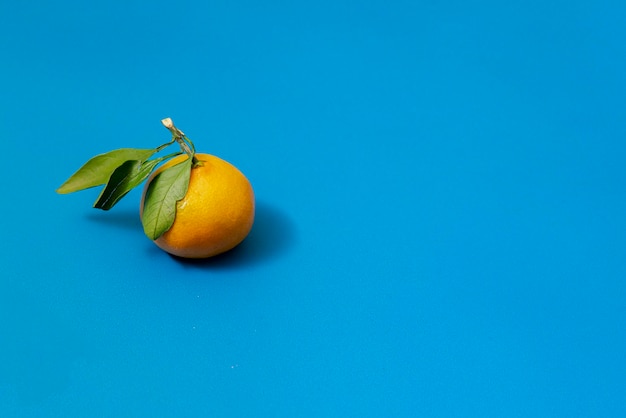 Un semplice mandarino gustoso sulla superficie colorata con foglie verdi e un ramo eco food