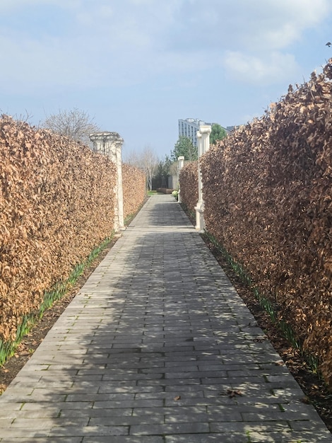 Un sentiero con una siepe al centro e un edificio sullo sfondo