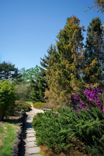 Un sentiero conduce a un giardino con un sentiero che porta a sinistra e un piccolo sentiero che porta a destra.
