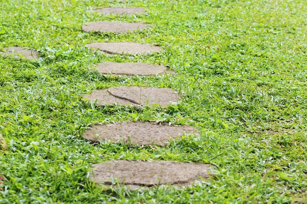 un sentiero di pietra nel parco