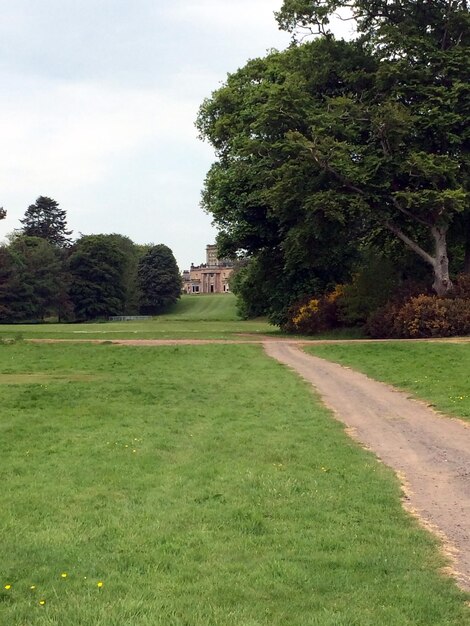 Un sentiero di terra in prospettiva vicino a un prato verde e alberi di un parco a una grande casa in lontananza
