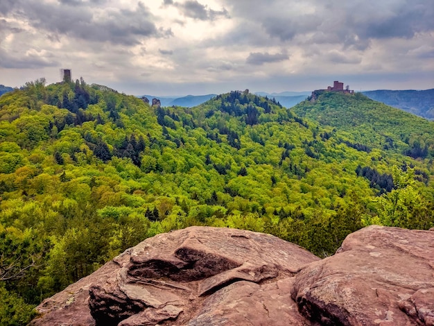 Un sentiero escursionistico nella Foresta Nera in Germania