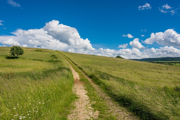 Un sentiero in mezzo a un campo erboso contro un cielo nuvoloso