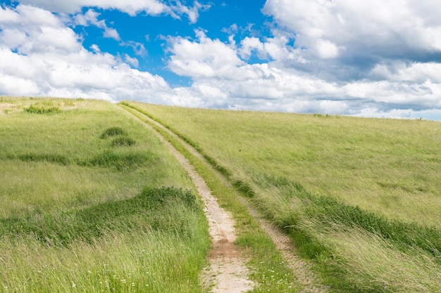 Un sentiero in mezzo a un campo erboso contro un cielo nuvoloso