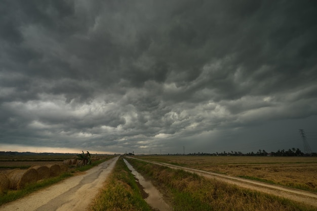 Un sentiero in mezzo al campo contro un cielo nuvoloso