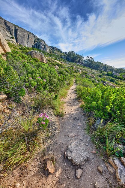 Un sentiero panoramico lungo la montagna di Lions Head a Città del Capo in Sud Africa su uno sfondo di cielo azzurro nuvoloso Un paesaggio naturale lussureggiante e aspro da esplorare con copyspace in una catena montuosa
