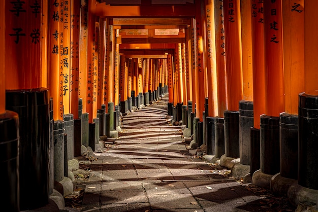 Un sentiero sereno attraverso le porte di Torii