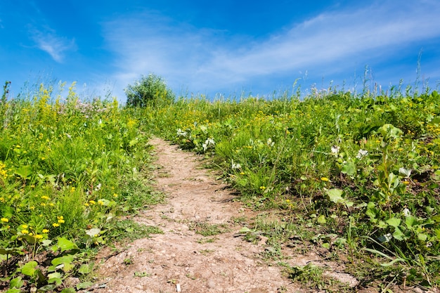 Un sentiero sterrato incorniciato da erba verde che sale fino all'azzurro del cielo