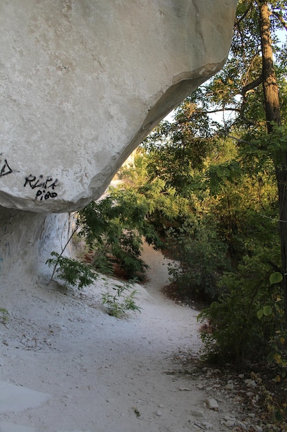 Un sentiero tra alberi e una roccia