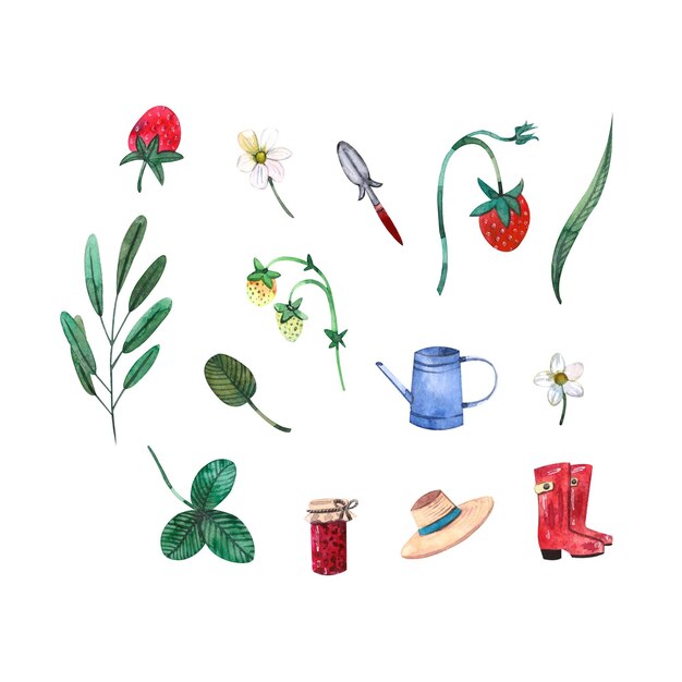 Un set di attrezzi da giardinaggio ad acquerello fragole e foglie su sfondo bianco per la progettazione di menu