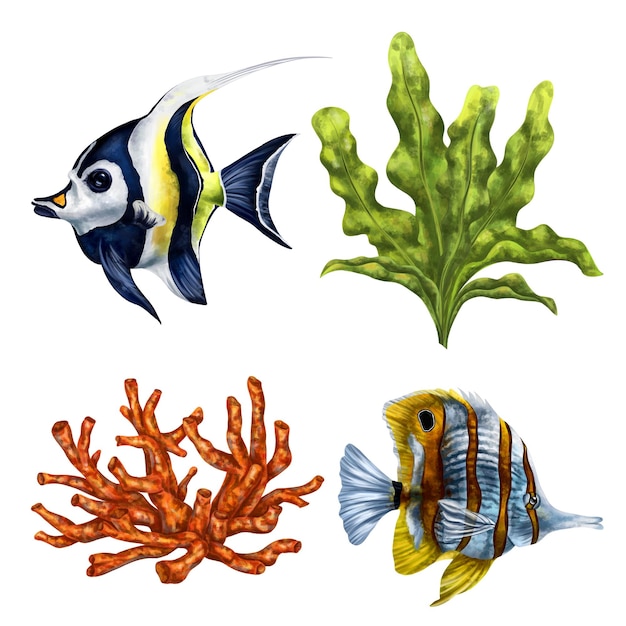 Un set di pesci tropicali e alghe marine Il mondo sottomarino esotico illustrazione digitale Per design imballaggi stampa manifesti tessuti souvenir