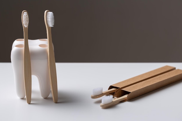 Un set di spazzolini ecologici in legno di bambù in un supporto a forma di dente.