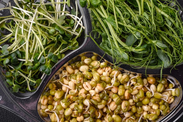 Un set o una miscela di senape di piselli e microgreens di fagioli mung germogliati in una scatola di plastica porzionata su uno sfondo di cemento scuro