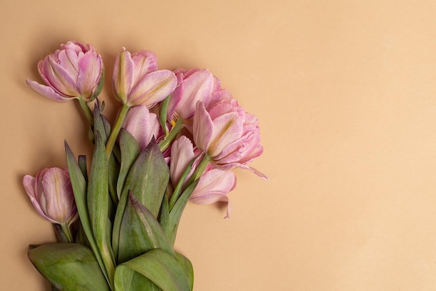 un simpatico bouquet di tulipani rosa su sfondo beige un posto per il testo