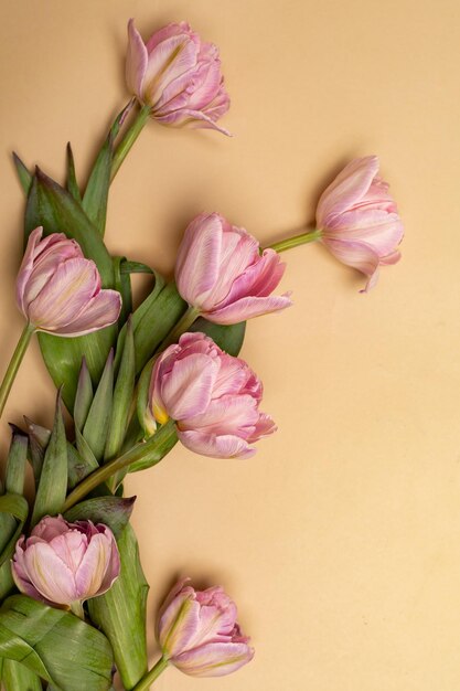 un simpatico bouquet di tulipani rosa su uno sfondo beige primo piano