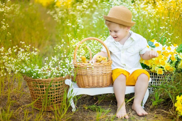 Un simpatico ragazzino con un cappello sta giocando con gli anatroccoli nelle sue mani su uno sfondo luminoso in estate in un parco nella natura Un bambino piccolo con molti piccoli anatroccoli gialli in un campo di margherite