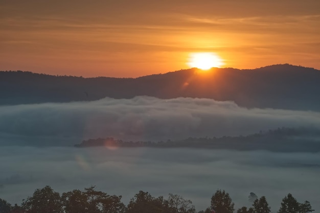 Un soffice mare di nebbia sta coprendo una valle forestale all'ora del tramonto