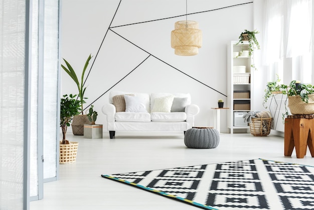 Un soggiorno con un tappeto e una pianta alla parete.