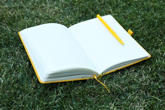 Un taccuino aperto con una penna sull'erba