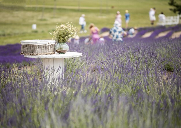 Un tavolo con un bouquet di margherite al centro di un campo di lavanda