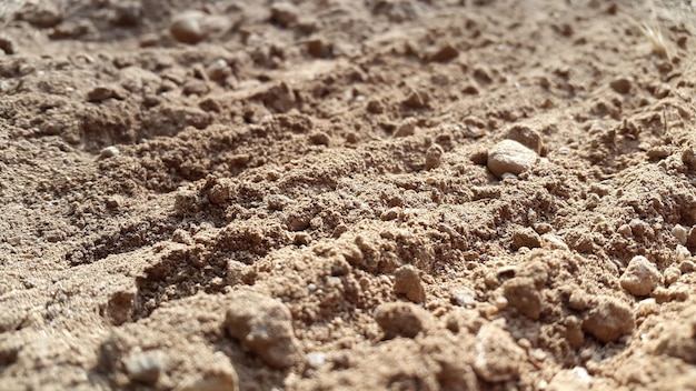 Un telaio pieno di sabbia sulla spiaggia