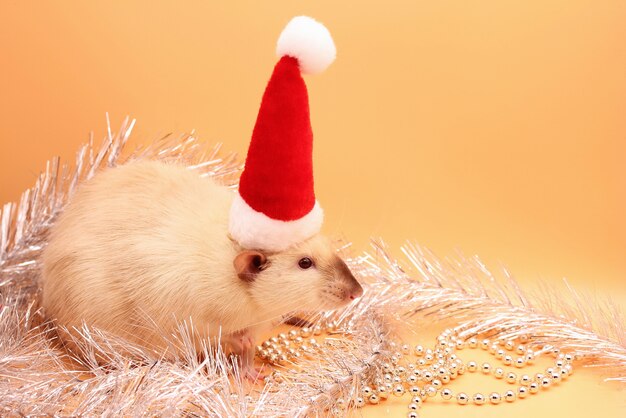 Un topo in un cappello di Natale tra la canutiglia di Natale.