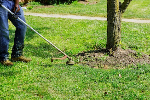 Un tosaerba falcia erba fresca e verde sul prato vicino, un operaio comunale con un tosaerba in mano.