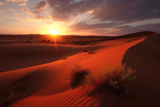 Un tramonto nel deserto con il sole che tramonta all'orizzonte.