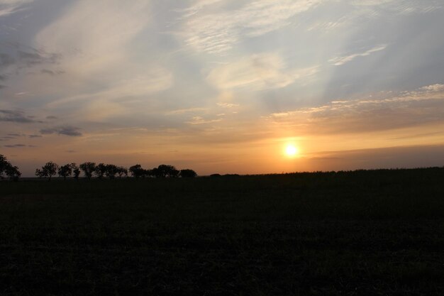 Un tramonto su un campo