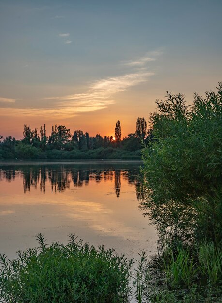 Un tramonto su un lago con alberi e cespugli in primo piano.