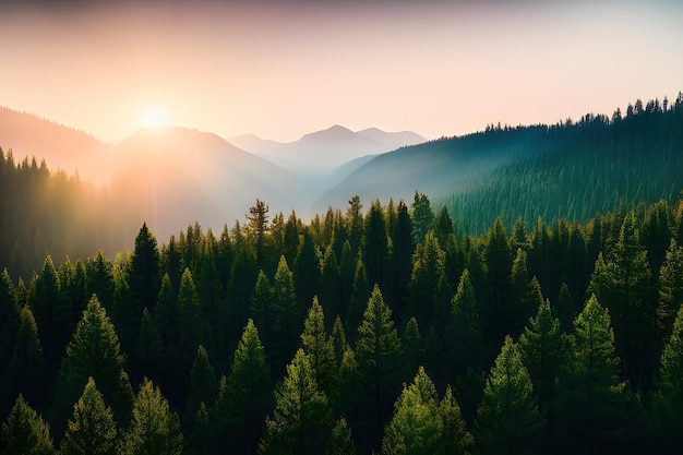 Un tramonto su una foresta con le montagne sullo sfondo