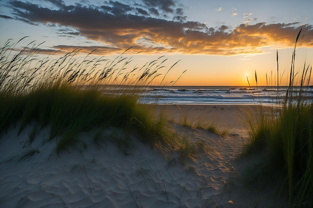 Un tramonto sull'oceano con il sole che tramonta dietro le dune