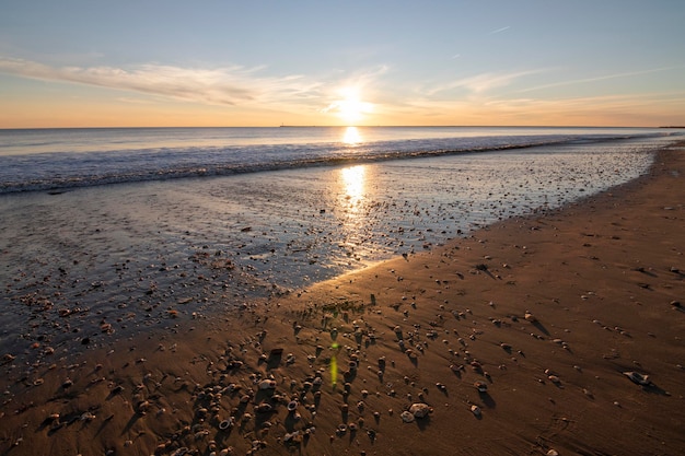 Un tramonto sulla spiaggia, pieno di conchiglie sulla riva.