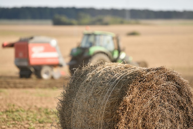 Un trattore pulisce il campo con il lino e fa le balle